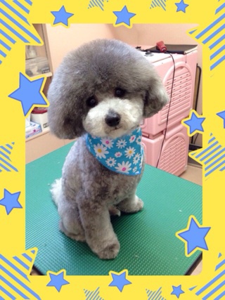噂のグリコくん☆
