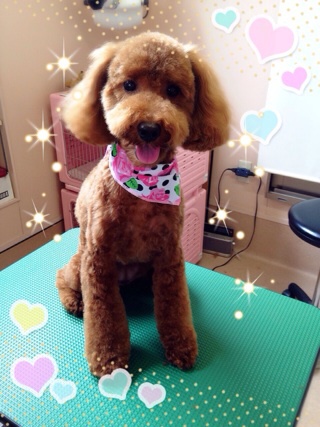 えへっ☆