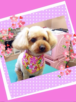 クリクリおめめ☆
