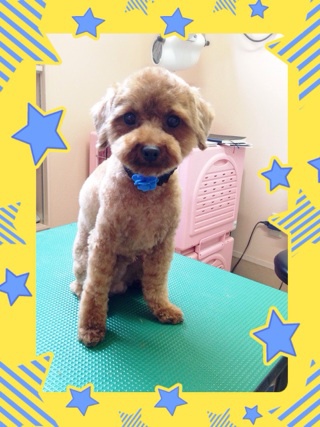 まんまる☆