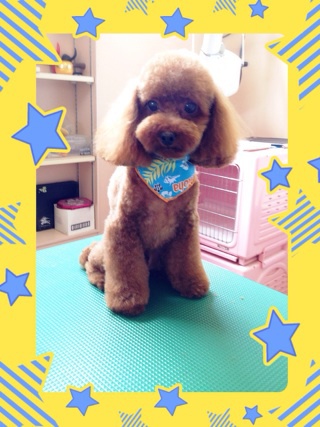 プチイメチェン☆
