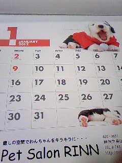 今年もまた♪♪