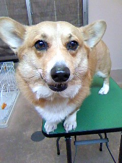 横顔もステキ☆