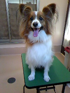キラキラおめめ☆