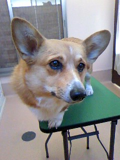 あ・そ・ぼ☆