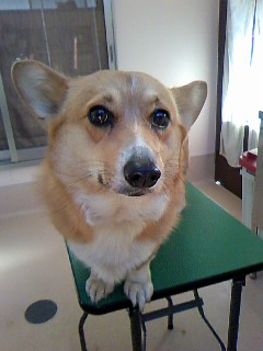 お疲れ様デシタ☆