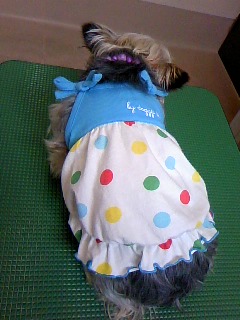 夏ファッション☆