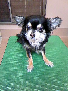 おててを揃えて☆