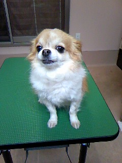 雨ザーザー☆