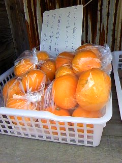 みかんの季節☆