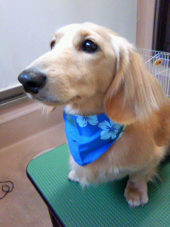 一緒にさっぱり☆