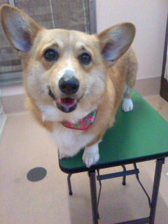 お疲れ様デシタ☆