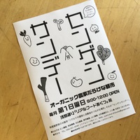センゲンサンデー