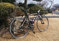 日本平。