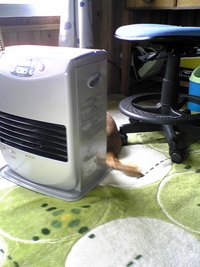 ”頭かくして尻かくさず”