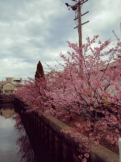 お客様の声☆