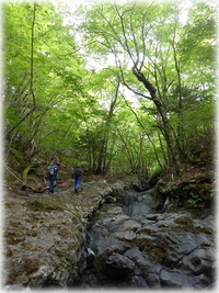 富士山ジオハイキング/市兵衛沢