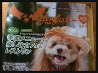 ワンダフルスタイルに載りました( ^^)