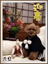 明けましておめでとうございます！