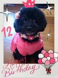 12thHappyBirthday!!