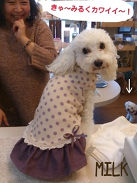 今日のお客さん☆２