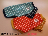 本日入荷のセールのお洋服♪