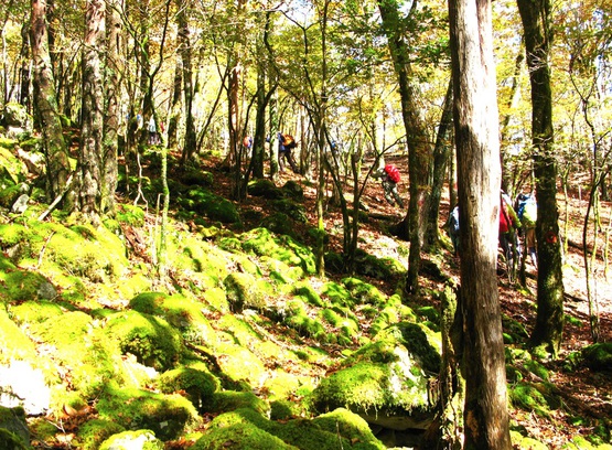 智者山・天狗石山（奥大井）
