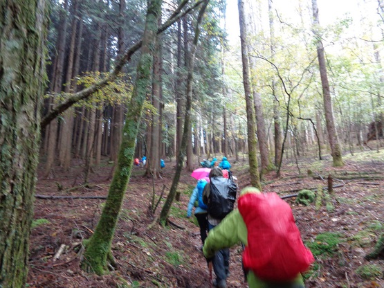 智者山・天狗石山（奥大井）