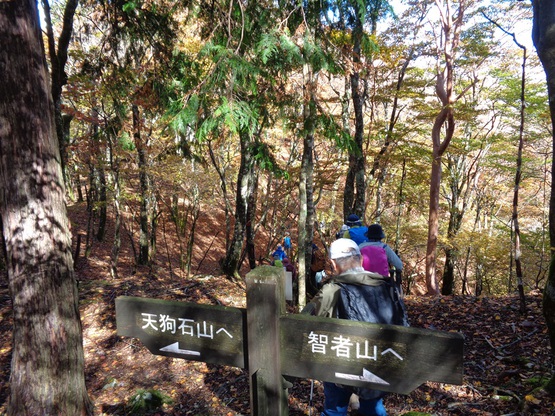 智者山・天狗石山（奥大井）