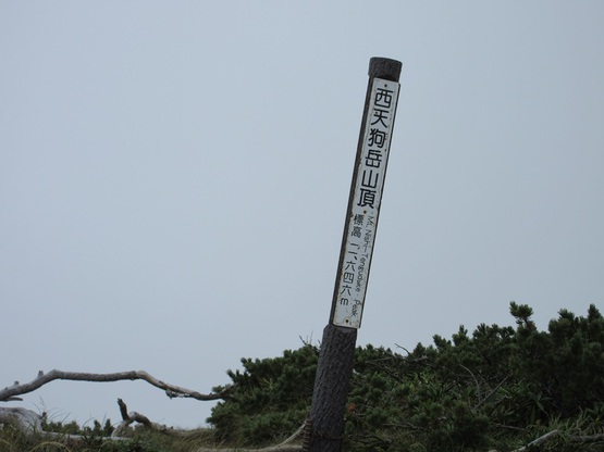 天狗岳（北八ヶ岳）B