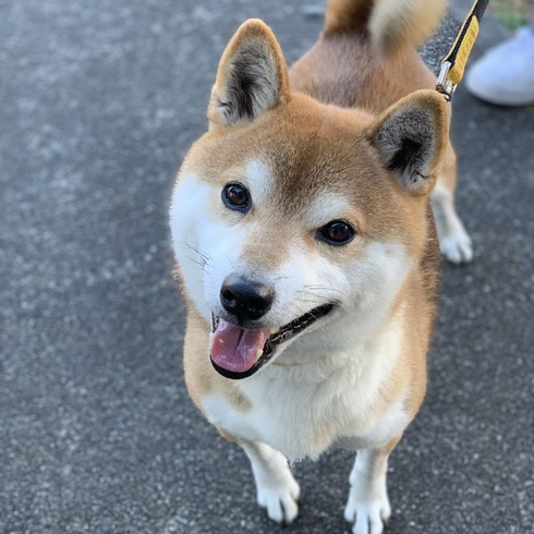 大和君が来てくれたよ。