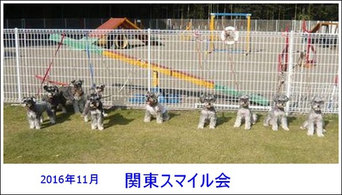 関東スマイル会のお知らせ