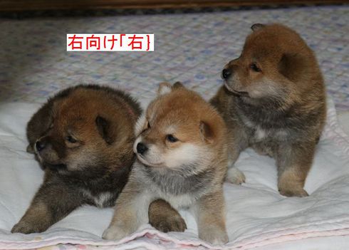 これなにー？