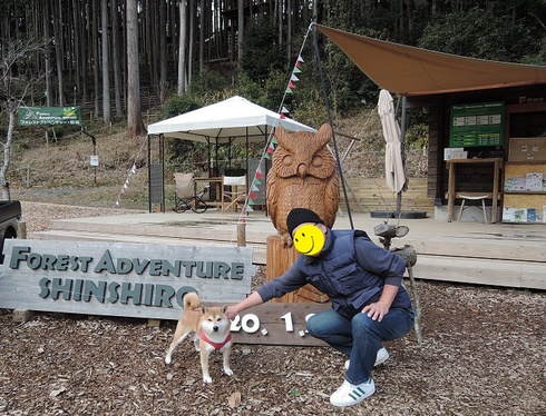 柴犬蓮君のお散歩・おさんぽ