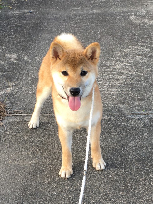 なっちゃん