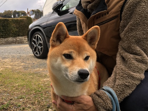 まるちゃんが来ました