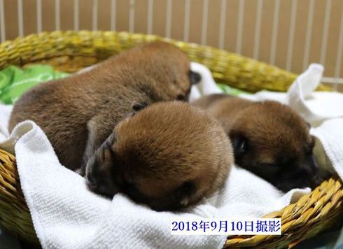 元気だよ。