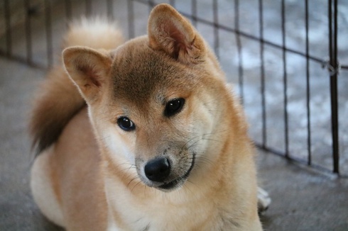 なっちゃん