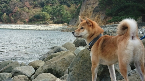 伊豆にドライブにお姉ちゃんも一緒。