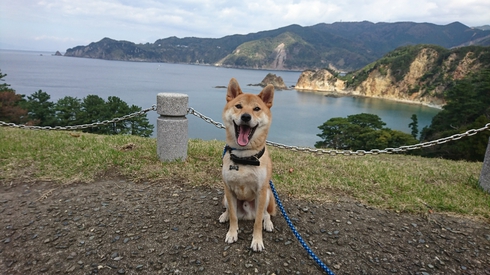 伊豆にドライブにお姉ちゃんも一緒。