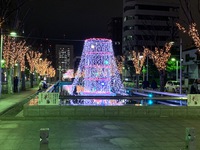 12月も残り10日
