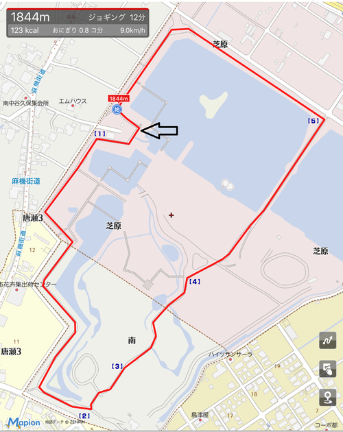 静岡市【麻機遊水地クロスカントリーコース】のご紹介
