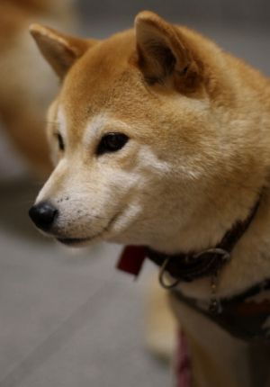 いや～ん