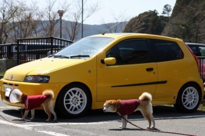 めだつけど、めだたない？