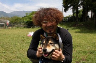柴犬集合
