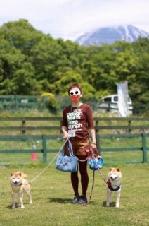 柴犬集合