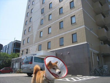 ビジネスホテルはWANルーム？