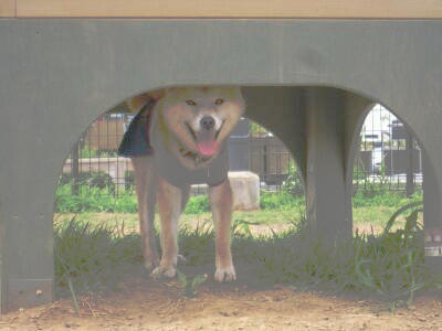暗い暗い怖い