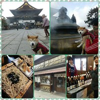 牛に引かれて？