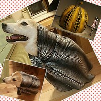バーバモジャ？